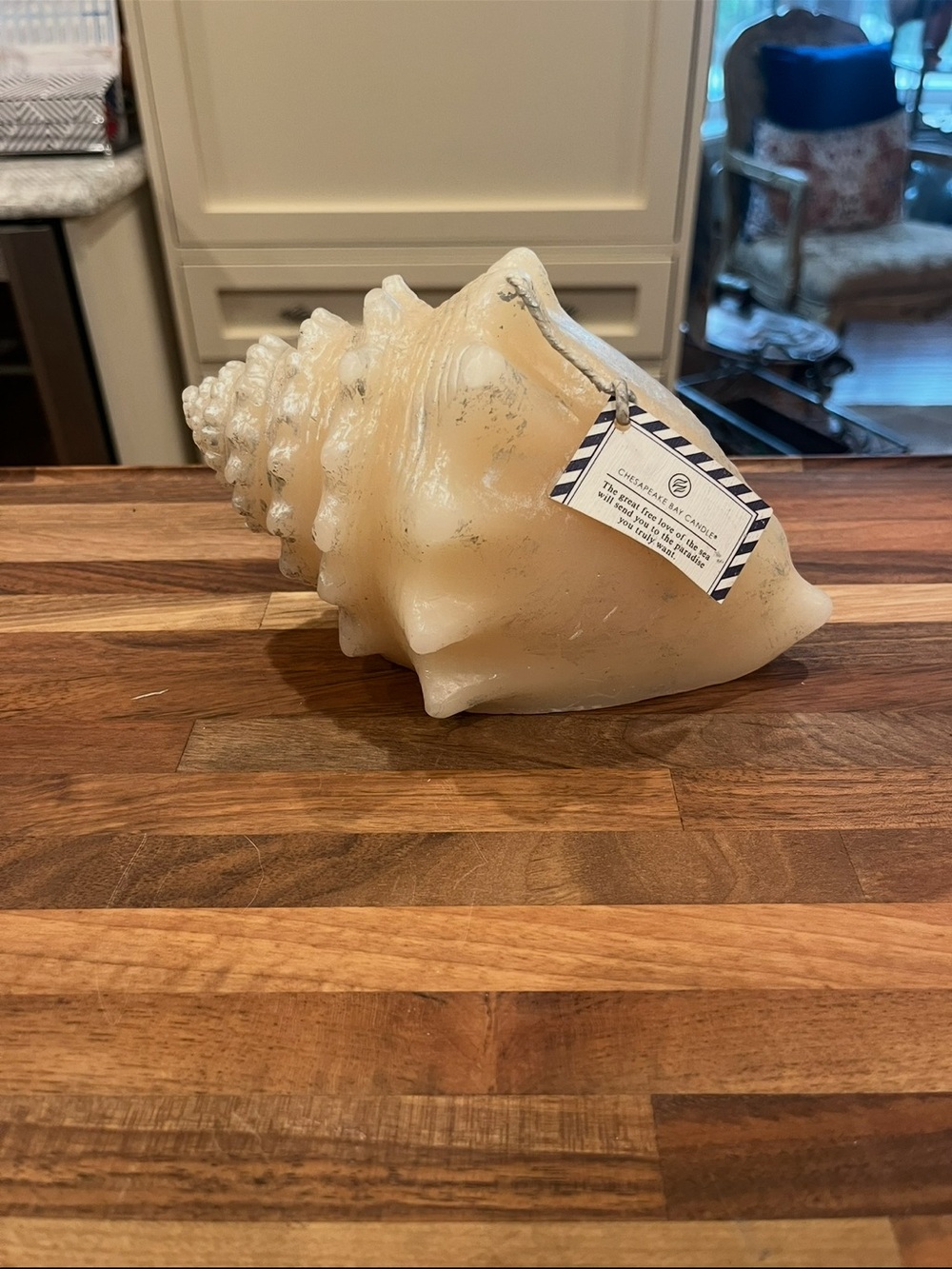 Classic Chesapeake Bay Candle co large Cream and silver Conch Shell candle. NEW!
